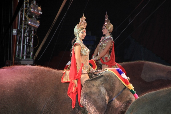 Krone2011   027.jpg